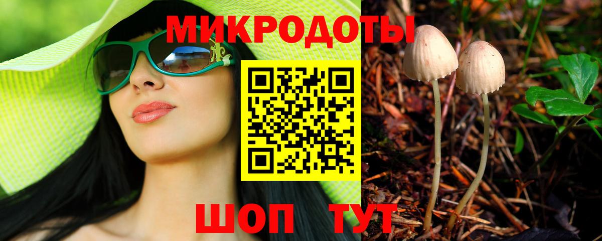 Псилоцибиновые грибы Psilocybe  Вход с VPN  Шелехов 